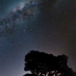 astrologia mario vannucci ana maria canseco