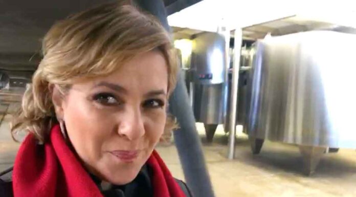 Aquí ando en uno de los mejores viñedos del mundo