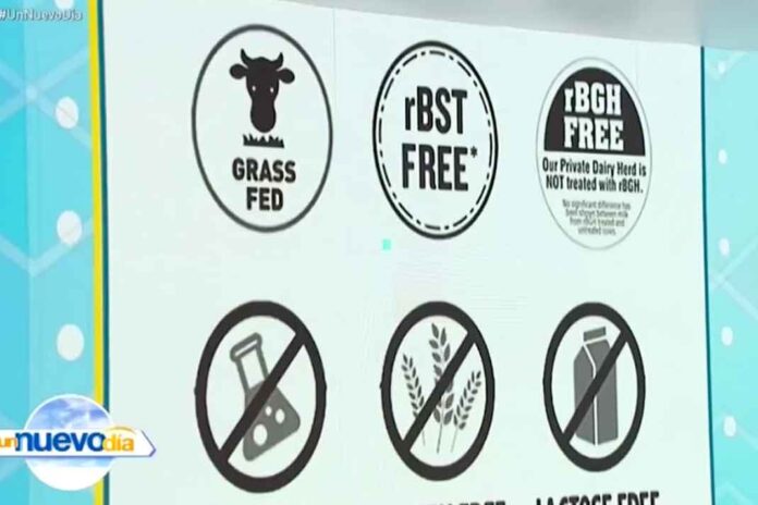 Algunos ingredientes evitan que te mantengas en forma.