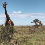 Marielena dice sentirse en paraíso terrenal, al ver a los animales y paisajes de Tanzania