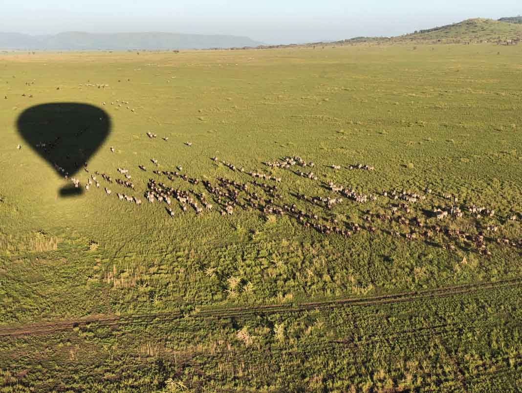 "Volando sobre Serengeti. Sintiéndome fotógrafa de National Geographic", dijo Marielena