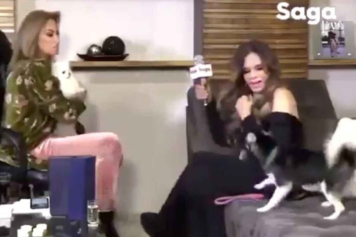 Pobre Lucía, vivió un susto durante la entrevista que le hizo Adela
