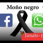 Tanatotip: El moño negro