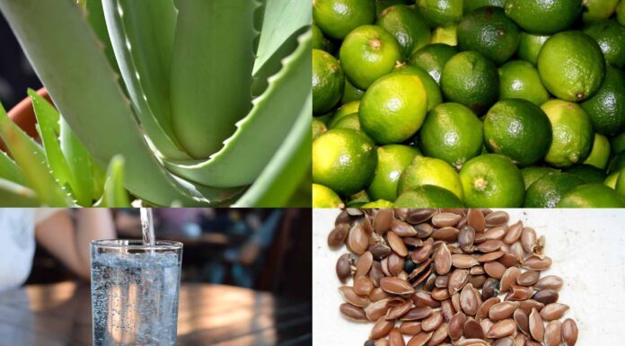 batidoBatido para desinflamar el vientre y limpiar el estómago.