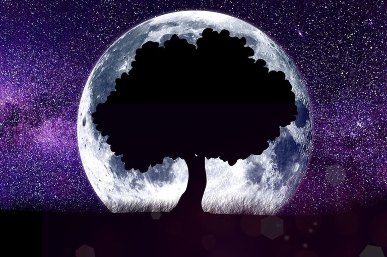 Tu horóscopo de Mario Vannucci aquí en mi blog anamariacanseco.com