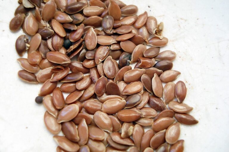 Ingrid Macher: Remedio para elimina desperdicios acumulados en tu colon