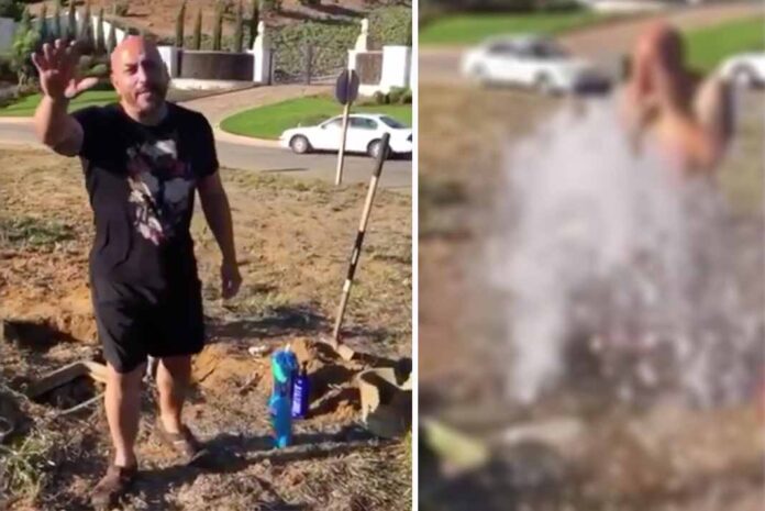 ¿Te imaginas ir manejando y encontrarte a Lupillo todo enjabonado en plena calle?