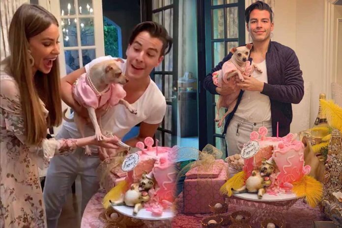 Sofía y su hijo le hicieron una fiesta lujosísima a su perra