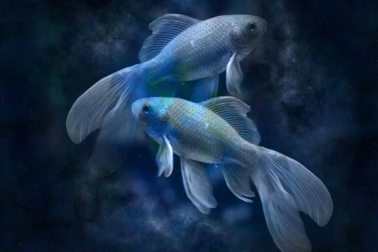 Horóscopo del lunes 7 de junio