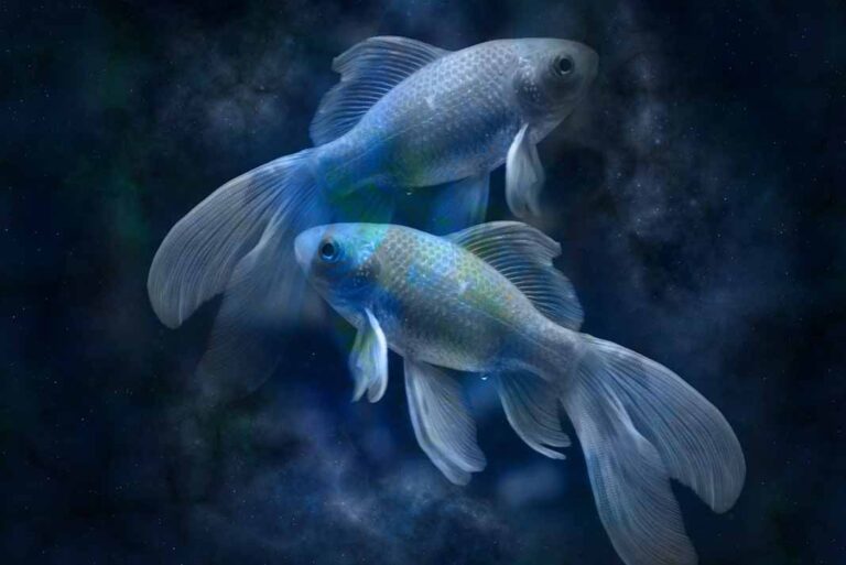 Horóscopos de hoy 18 de septiembre: Piscis, no te deprimas