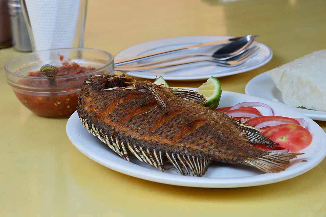 La tilapia es uno de los pescados que más consumimos cuando estamos a dieta