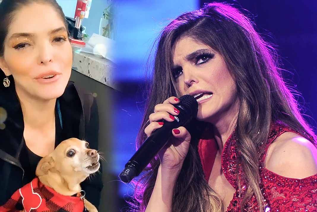 Así reaccionó el perro chihuahua de Ana Bárbara con el nuevo error de la cantante