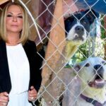 La Dra. Polo se une a las campañas de PETA