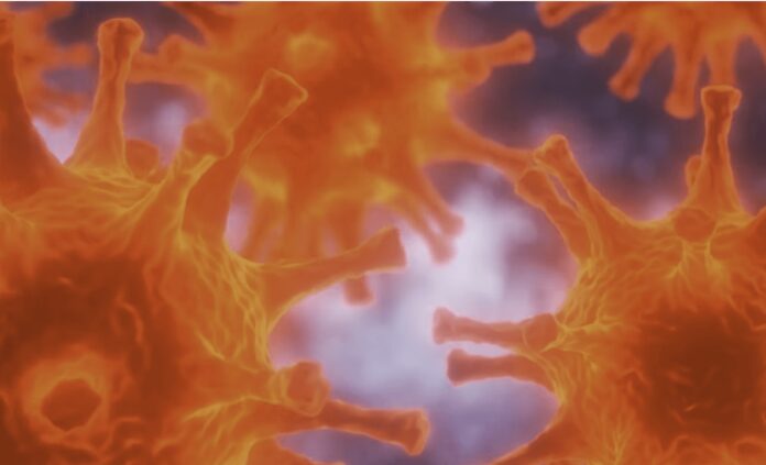 Ingrid Macher: ¡Evita enfermarte desinfectando esto de inmediato!