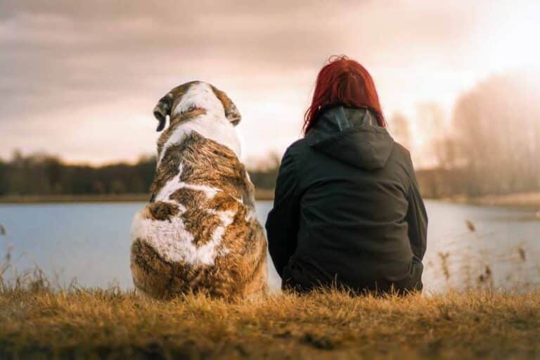 María Marín: No temas volver a enamorarte, no todos los perros muerden