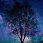 Horoscopo-arbol