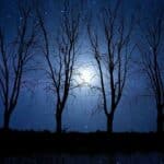 Horoscopo-noche-atboles
