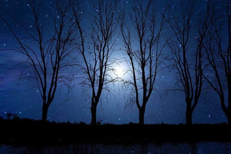 Horóscopo martes 17: Probarás mejorar tu negocio y finanzas