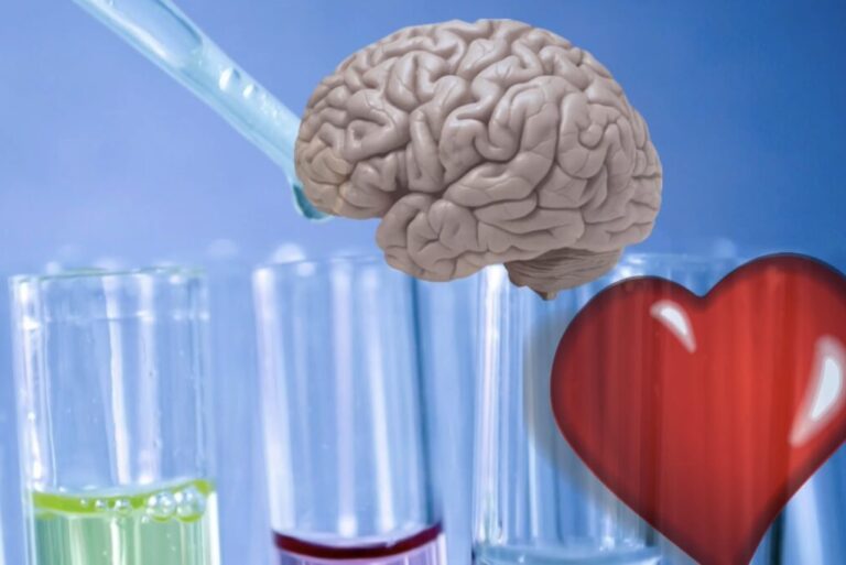 Dra. Amor: Enamorarse es cosa del cerebro, no del corazón