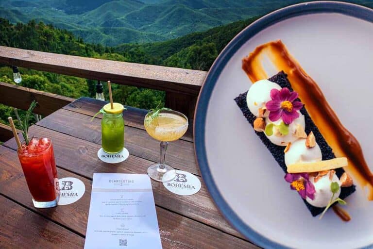 ¿Pasarás Navidad en Puerto Rico? Vive una experiencia gastronómica única en sus montañas