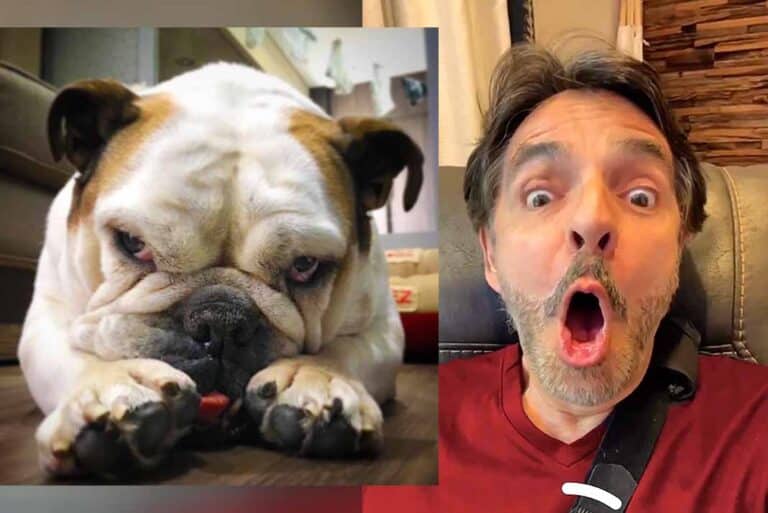 Eugenio Derbez rehabilita su hombro con una escoba y la ayuda de su perra Fiona