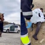 La Guardia Civil llegó hasta el lugar, así como paramédicos que atendieron al especialista en moda
