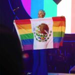 En la más reciente reforma al Código Penal Federal se establece cárcel y multa para quienes alteren un símbolo patrio, como lo es la bandera de México