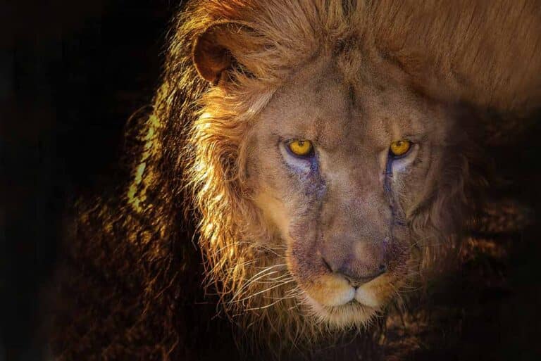 Horóscopo miércoles 4: Prepárate para emprender nuevos negocios