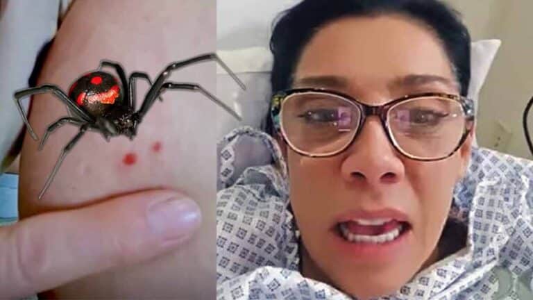 Cynthia Klitbo sigue de mala racha: