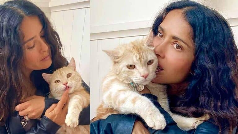 ¿Harías lo que hizo Salma Hayek cuando su gato le llevó un 'regalito'?