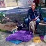 Una vecina de la colonia Roma, en la Ciudad de México lo reconoció y pidió ayuda, pues estaba viviendo en un camellón, en plena calle